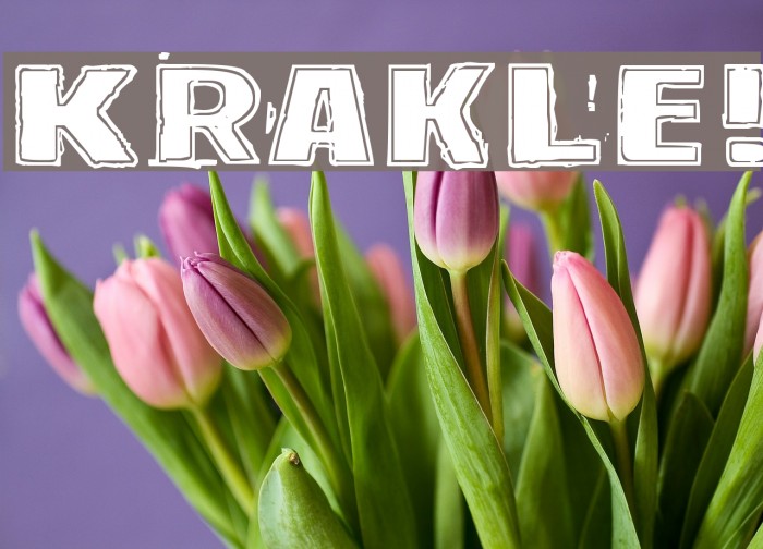 Krakle! Example 3