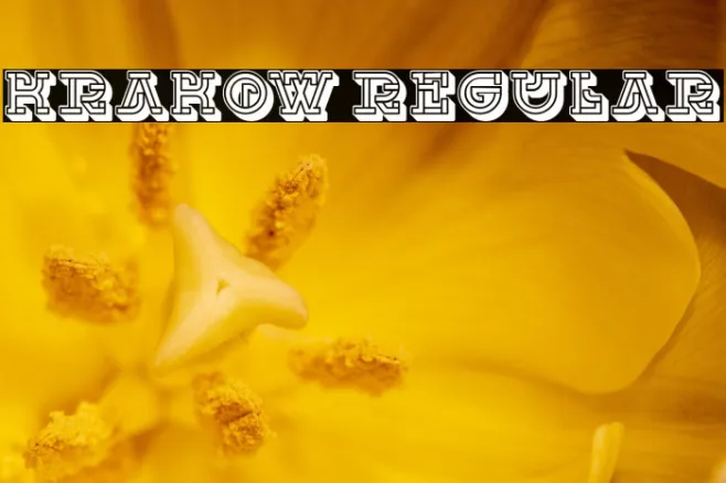 Krakow Regular Example 2