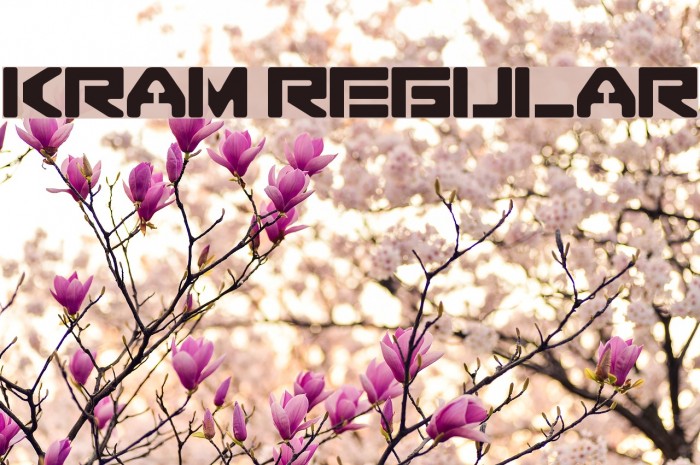 Kram regular لخطوط تنزيل examples