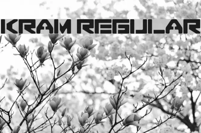 Kram regular خط examples