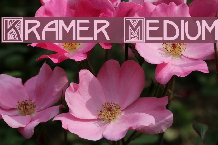 Kramer Medium Font examples