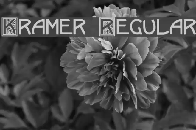 Kramer Regular Font examples