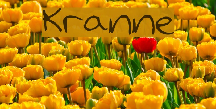 Kranne Font examples