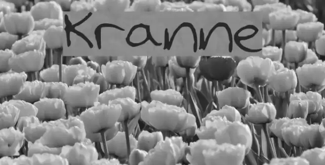 Kranne خط examples