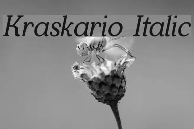 Kraskario Italic Font examples