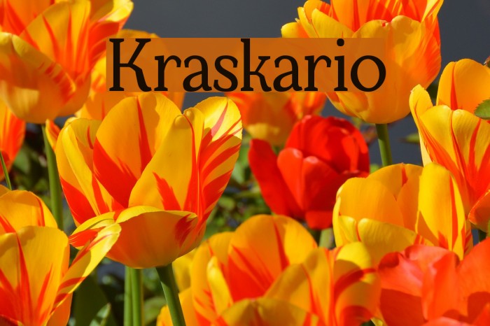 Kraskario Font examples
