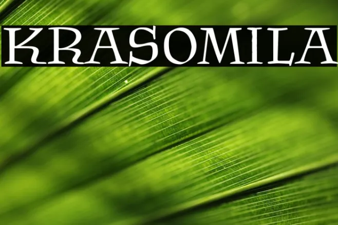 Krasomila Example 2