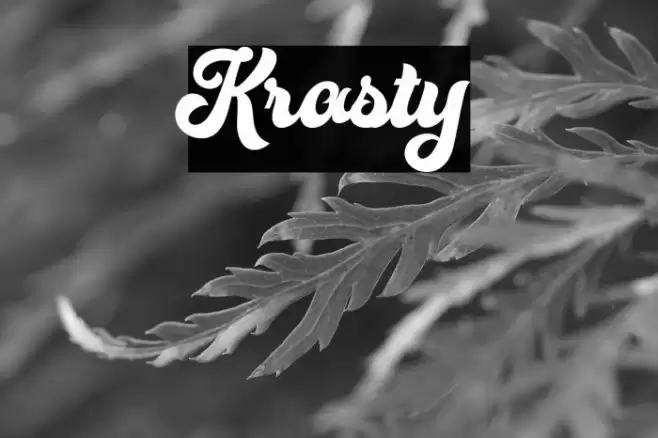 Krasty Font examples