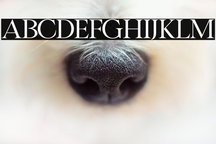 KratonfreeFont-Regular Example 1