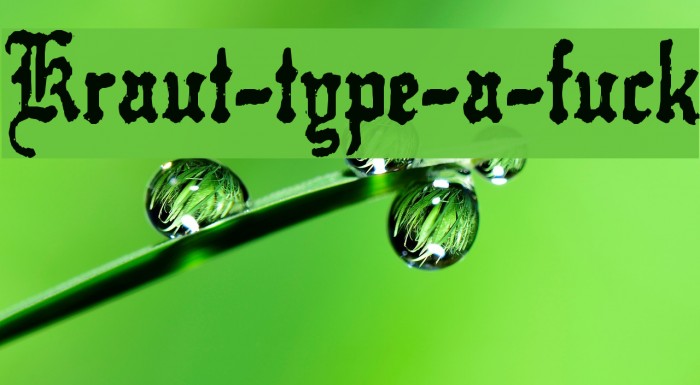 Kraut-type-a-fuck Font examples