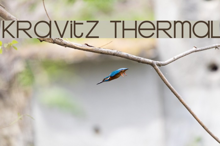 Kravitz Thermal Font examples