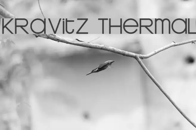 Kravitz Thermal Fonte examples