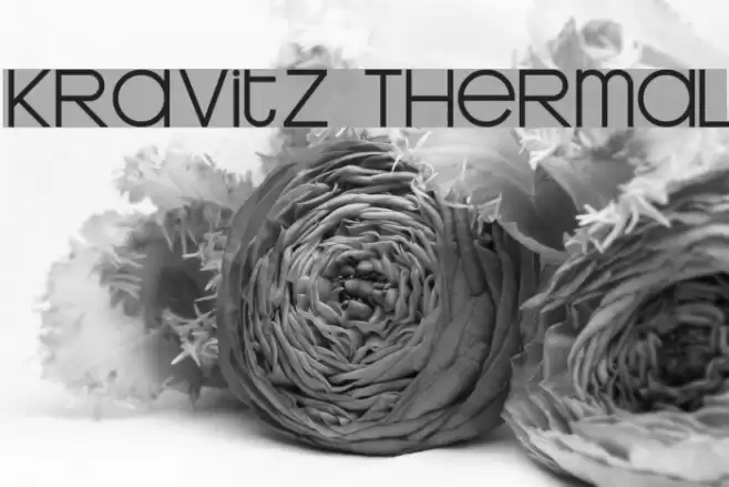 Kravitz Thermal Fonte examples