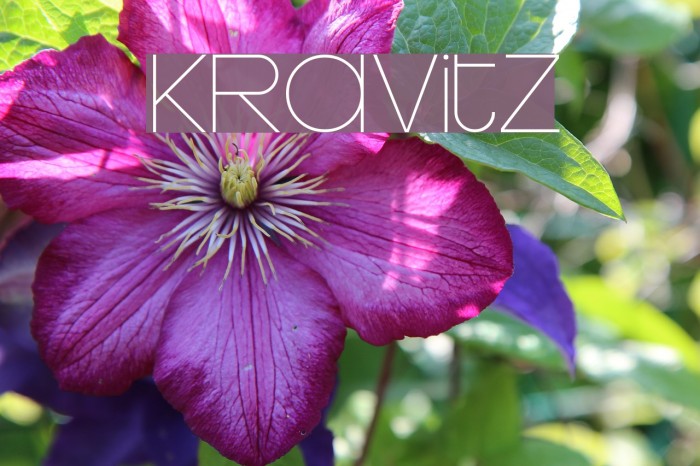 Kravitz Font examples