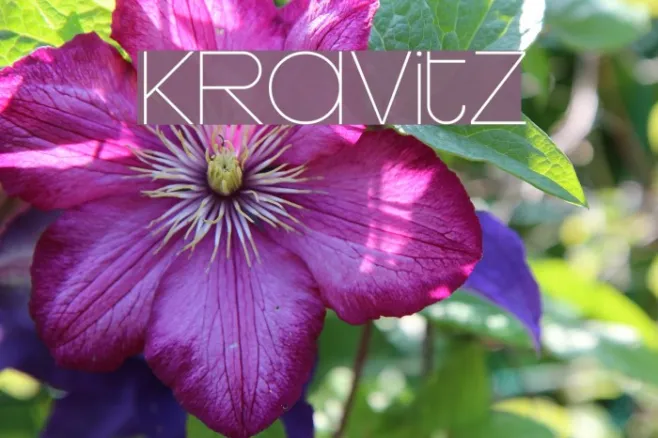 Kravitz Example 1