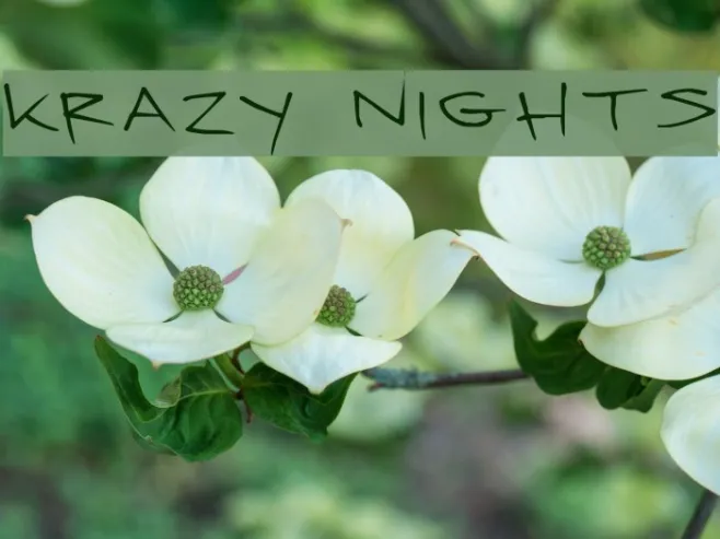 Krazy Nights Example 3