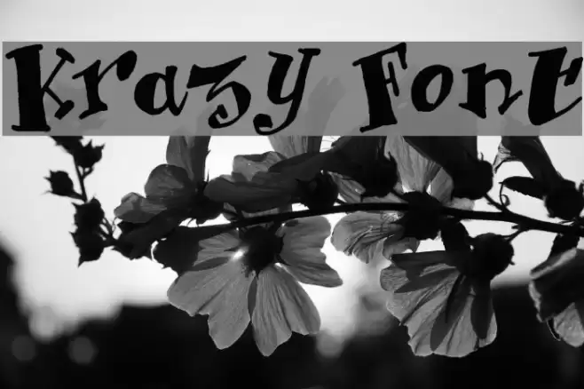 Krazy Font examples