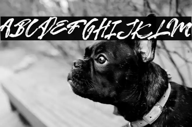 Kreakers Brush Font examples