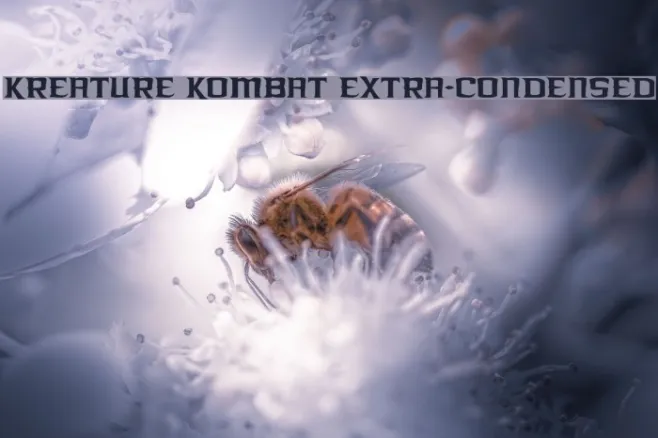Kreature Kombat Extra-Condensed Example 3