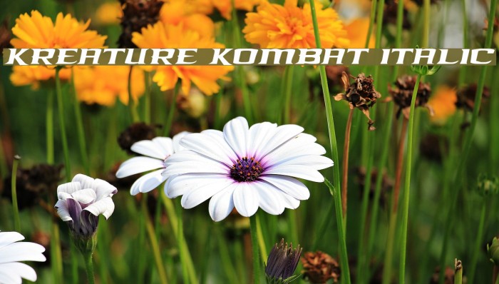 Kreature Kombat Italic Example 3