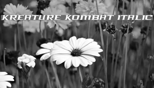 Kreature Kombat Italic Font examples