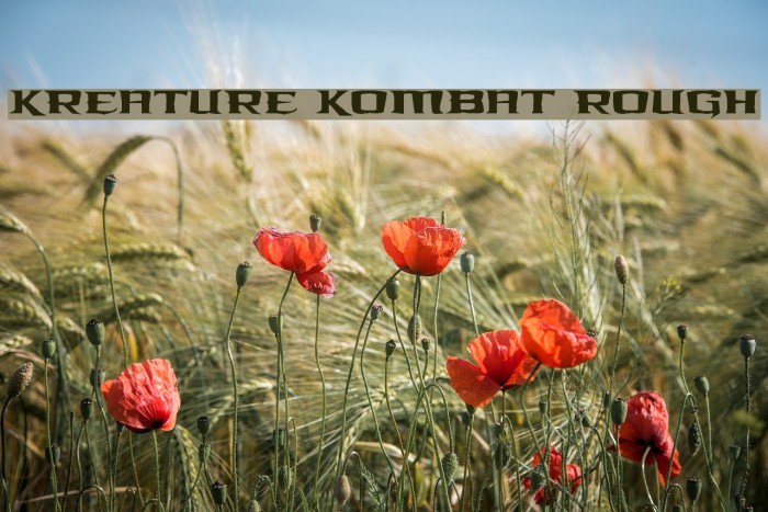 Kreature Kombat Rough Example 2