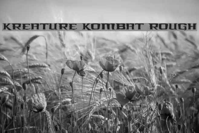 Kreature Kombat Rough Font examples