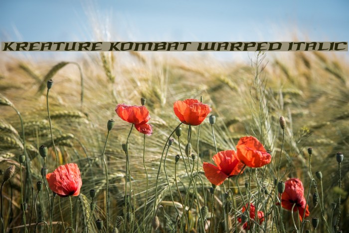 Kreature Kombat Warped Italic Font examples