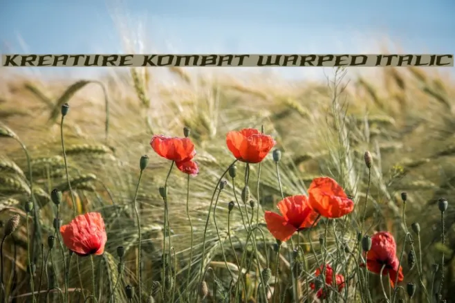 Kreature Kombat Warped Italic Example 2