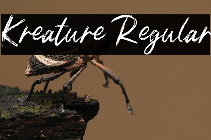 Kreature Regular Example 1