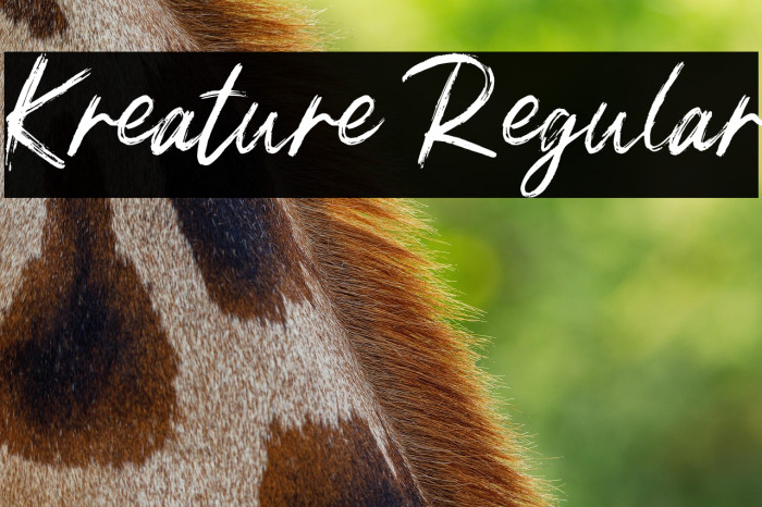 Kreature Regular Example 3