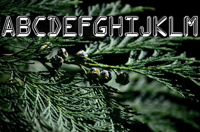 Kredit-Regular Example 1