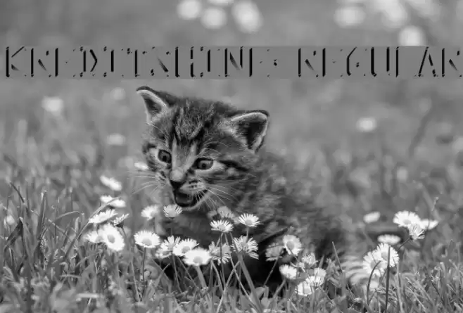 KreditShine-Regular Font examples