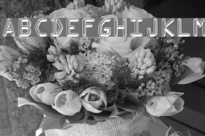 Kredit Font examples