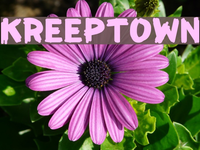 KreepTown フォント examples