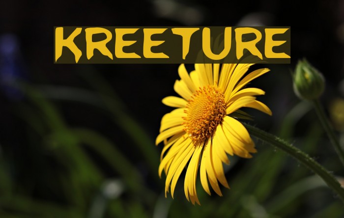 Kreeture फ़ॉन्ट examples