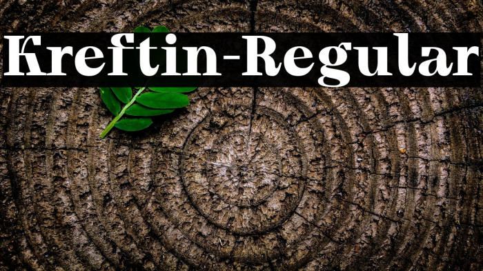 Kreftin-Regular Example 2