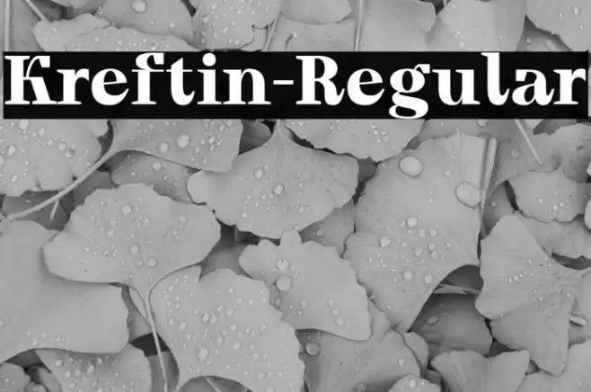 Kreftin-Regular Font examples