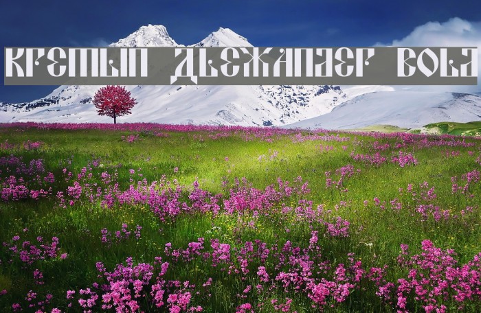 Kremlin Alexander Bold Font examples