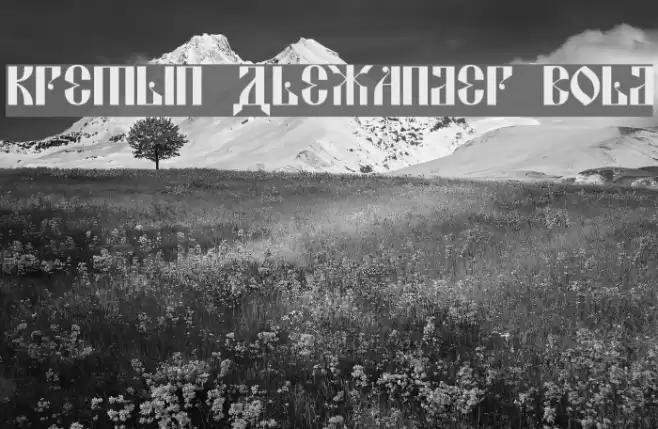Kremlin Alexander Bold Font examples