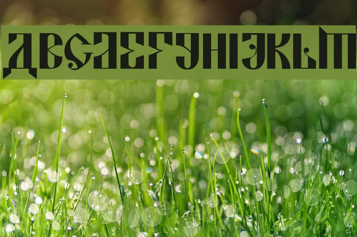 Kremlin Alexander Bold Font examples