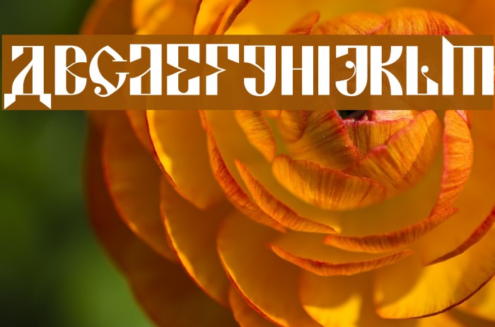 Kremlin Alexander Bold Font examples