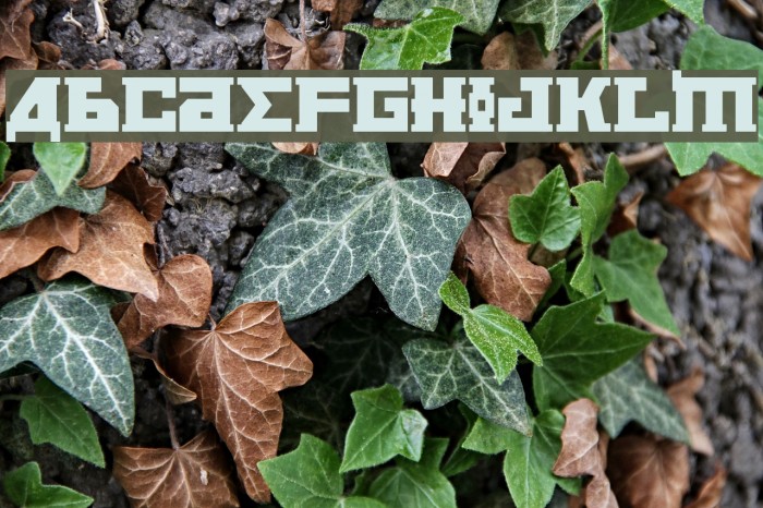Kremlin Bolshevik Bold Font examples