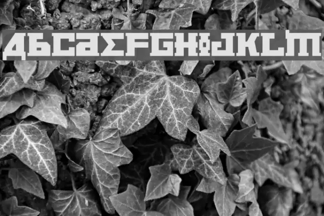 Kremlin Bolshevik Bold Fuentes examples