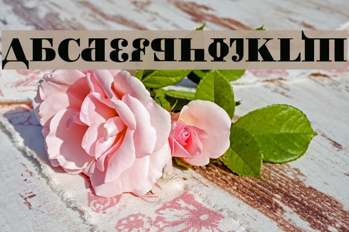 Kremlin Chairman Bold Font examples