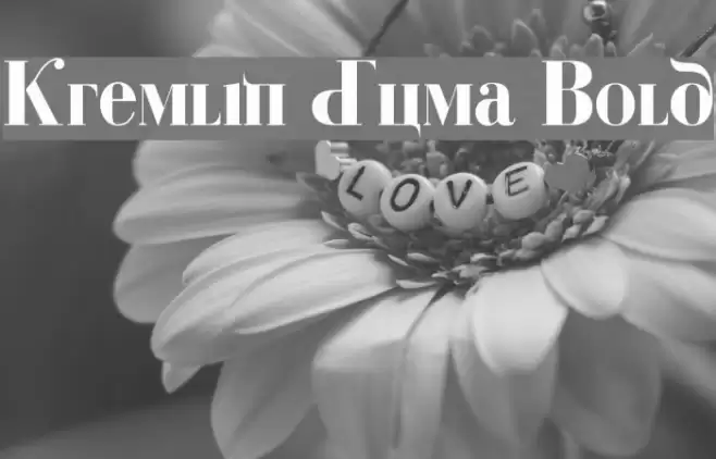 Kremlin Duma Bold Font examples