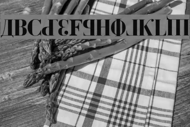 Kremlin Duma Bold Font examples