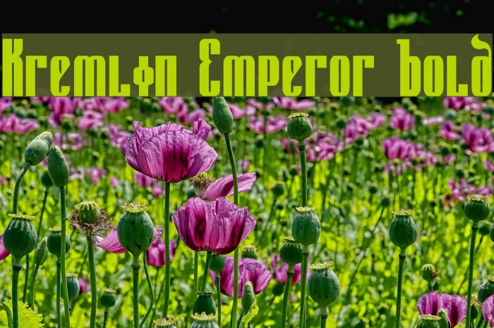 Kremlin Emperor Bold Font examples