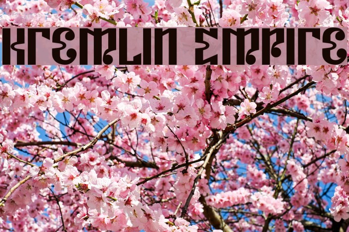Kremlin Empire Font examples