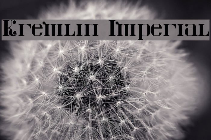 Kremlin Imperial Font examples